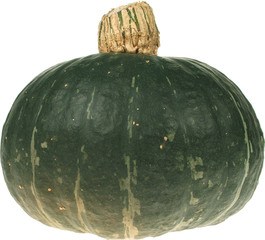 Groene pompoen p/s