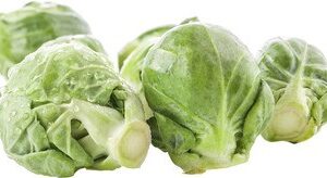 BIO fijne spruiten 1 kg